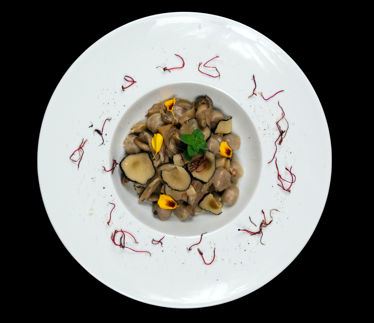 Gnocchetti Tartufo e Fantasie del Bosco Villa Monte d'Oro